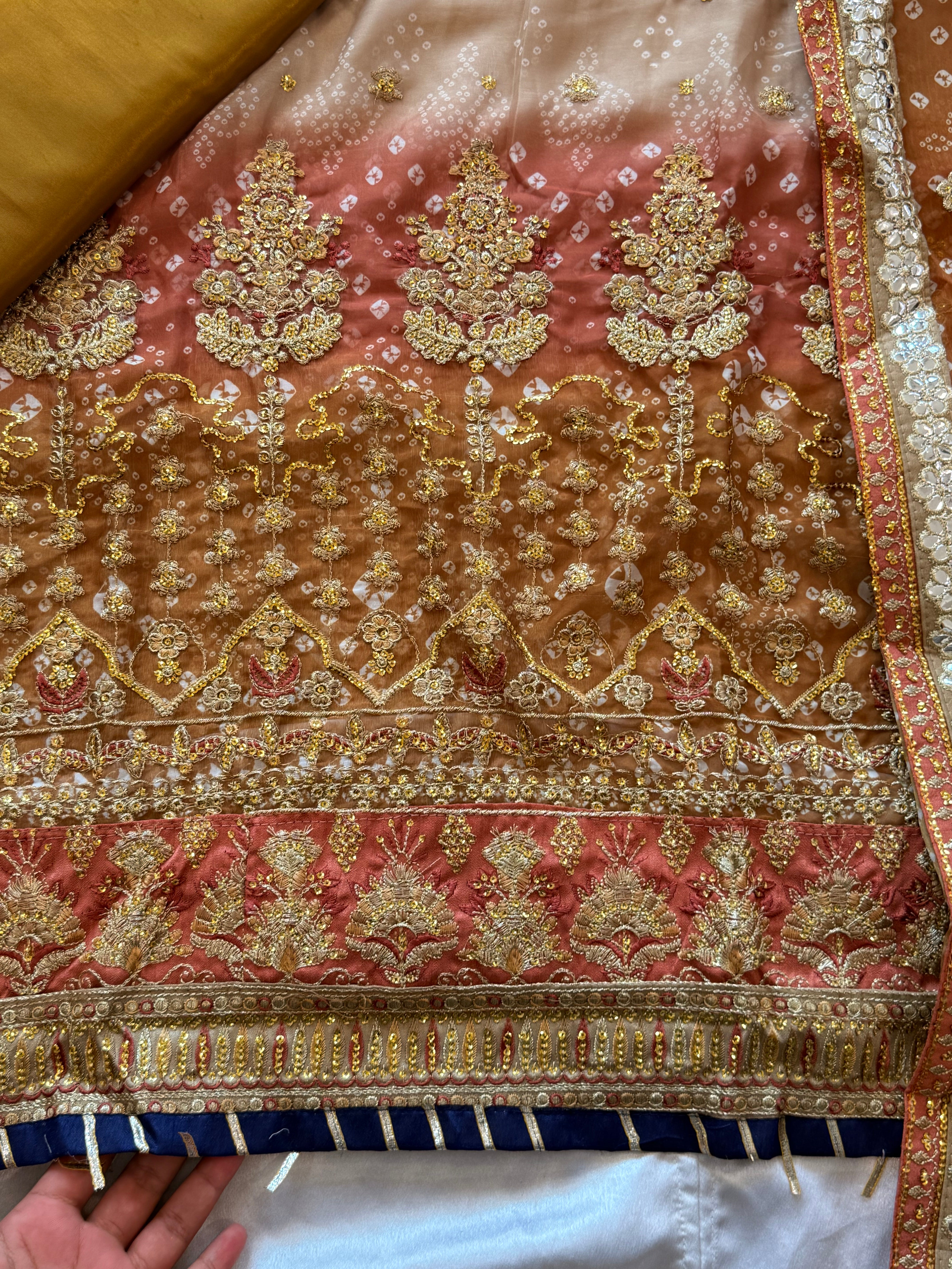 BRIDAL SHADED CHIFFON EMBROIDERED SUIT 1