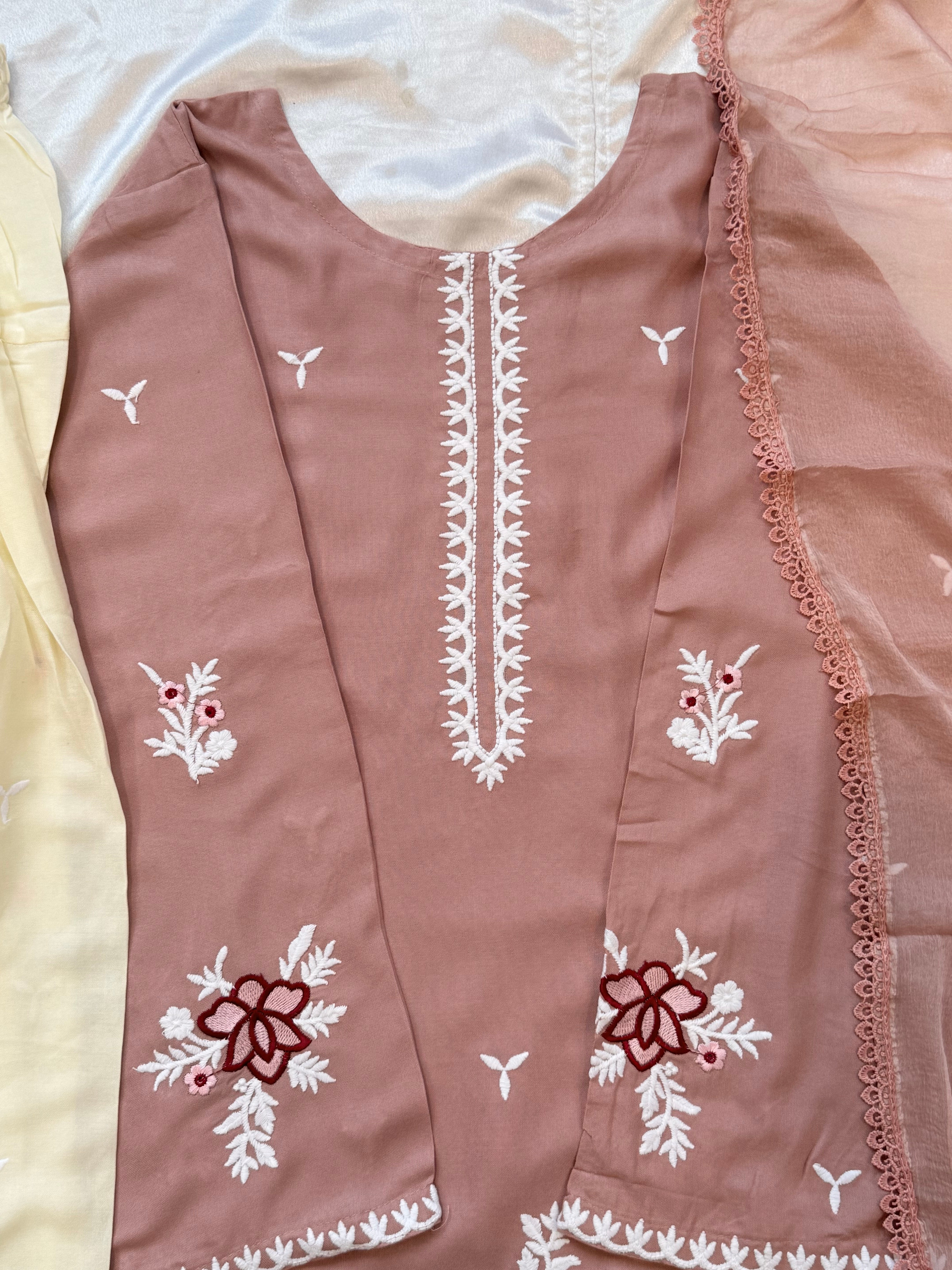 DUREFISHAN FARSHI SHALWAR SET 3