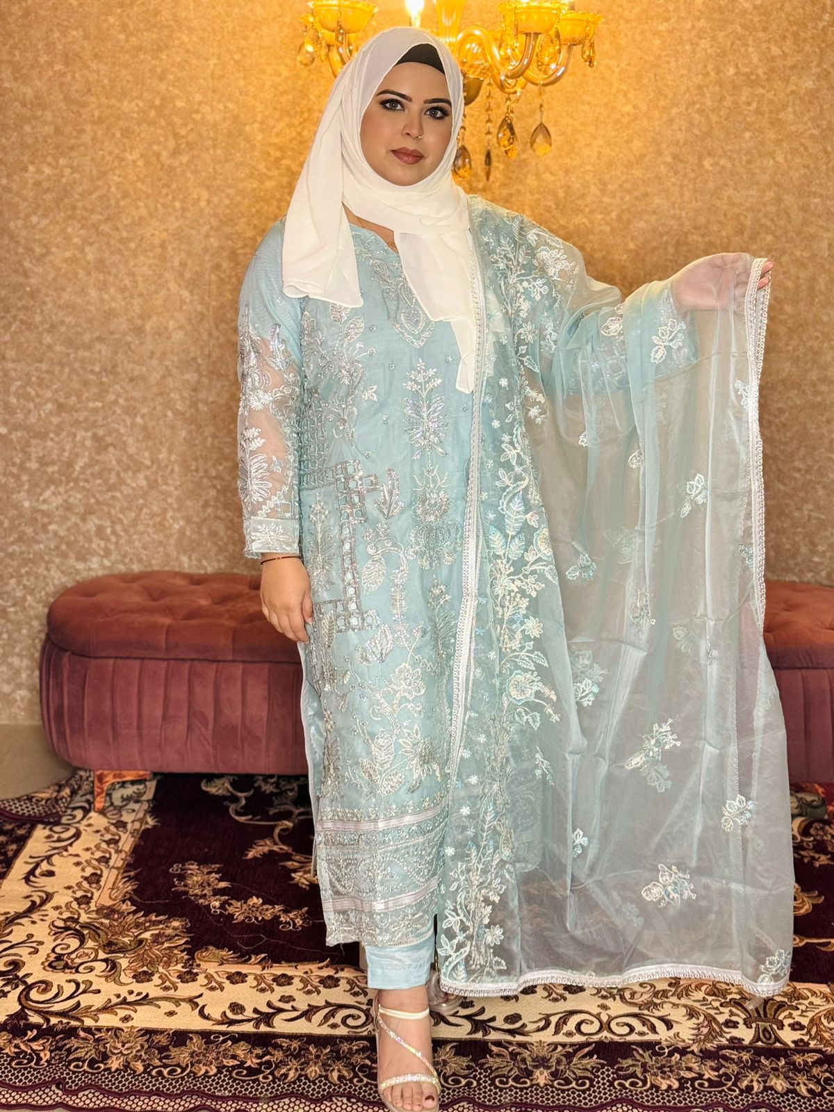 SABA SKY BLUE ORGANZA SUIT