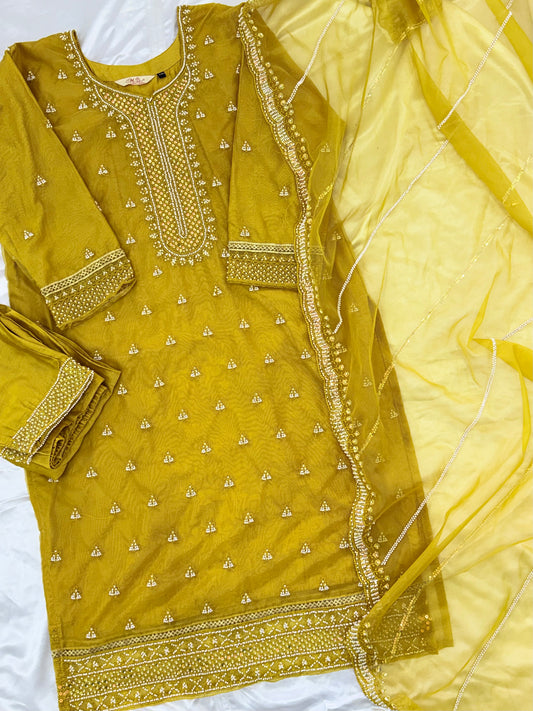 RAHI CUTDANA HANDWORK SUIT Q