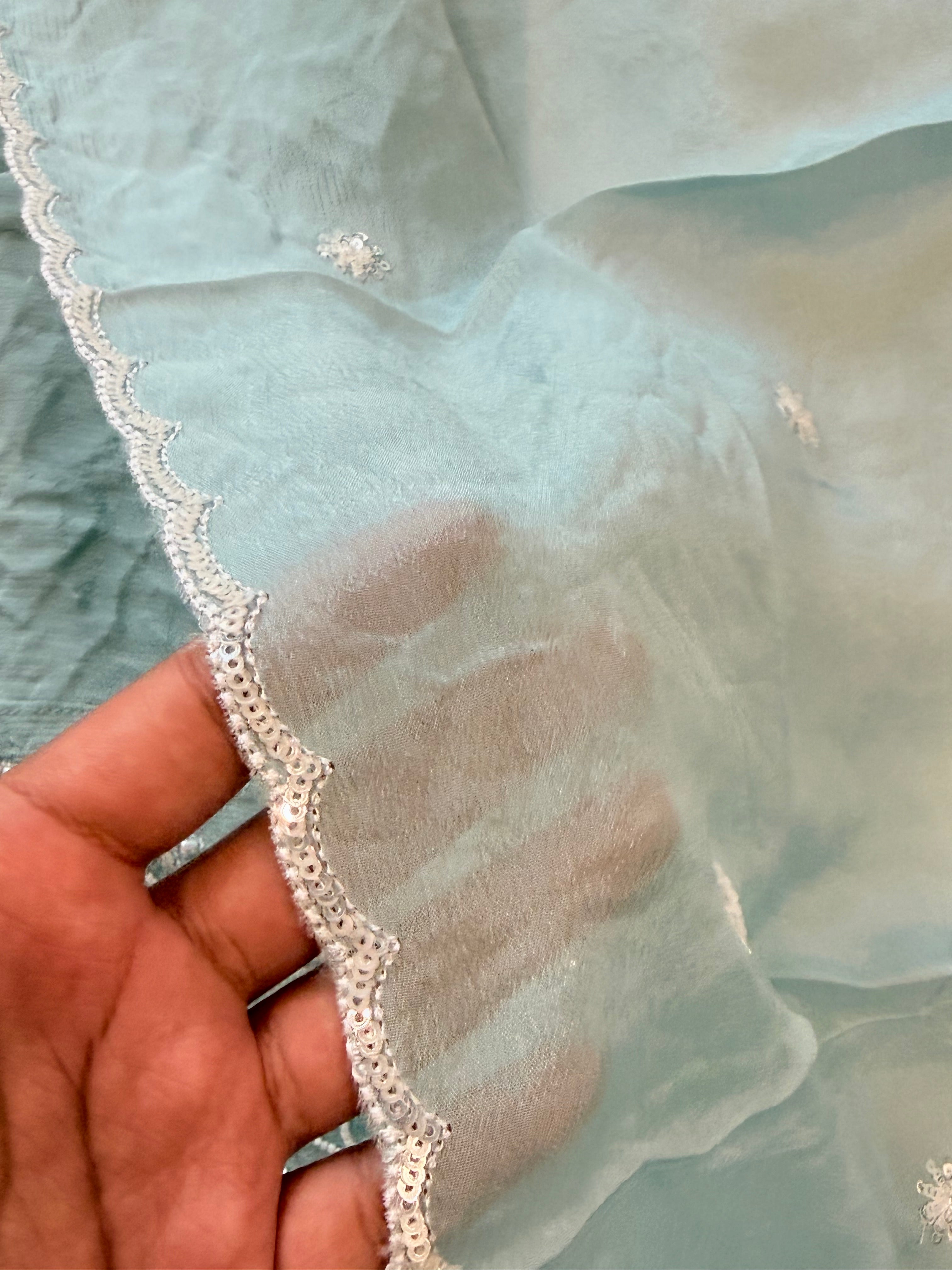 PARO SHIFFON HANDWORK SUIT 21 Q