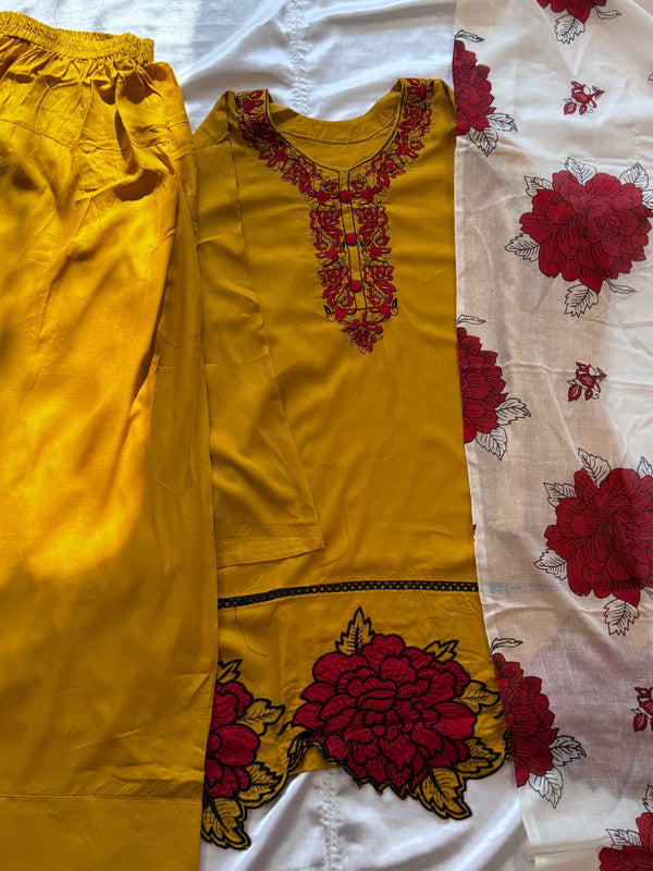 SAYYARA FARSHI SHALWAR SUIT 4