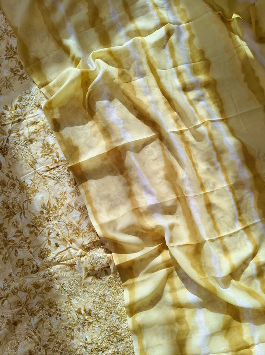 OMBRE CHIKANKARI PATCH  SUIT 6