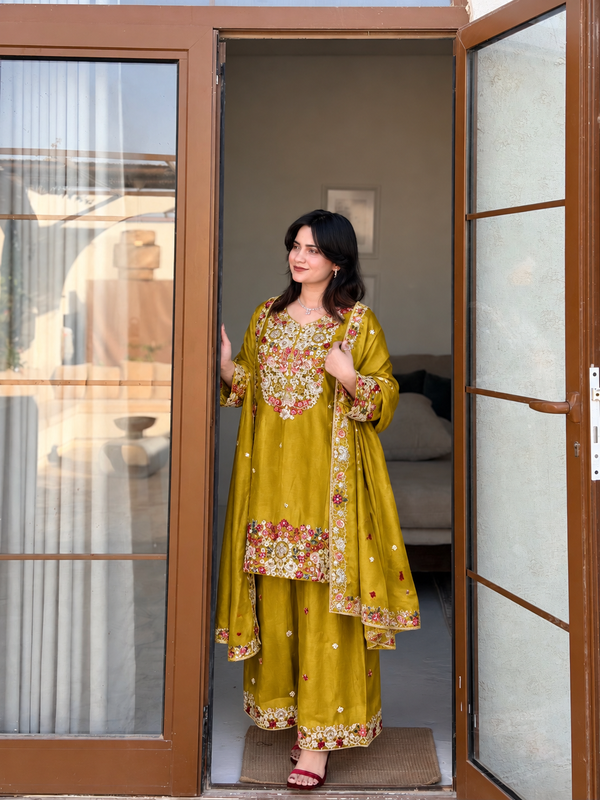 HARSHA SHIFFON HANDWORK SUIT